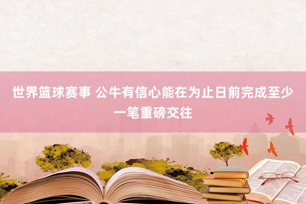 世界篮球赛事 公牛有信心能在为止日前完成至少一笔重磅交往