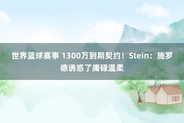 世界篮球赛事 1300万到期契约！Stein：施罗德诱惑了庸碌温柔