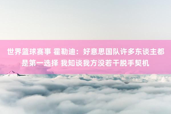 世界篮球赛事 霍勒迪：好意思国队许多东谈主都是第一选择 我知谈我方没若干脱手契机