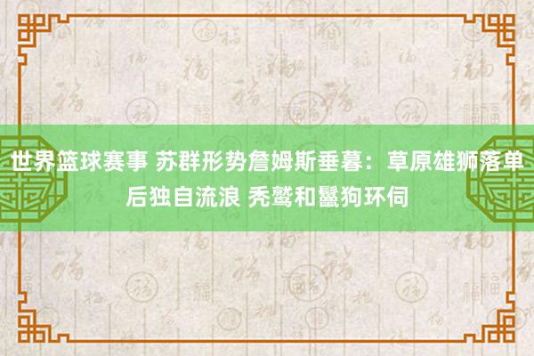 世界篮球赛事 苏群形势詹姆斯垂暮：草原雄狮落单后独自流浪 秃鹫和鬣狗环伺